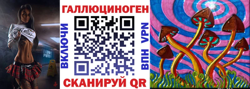 OMG ONION  цена наркотик  Ряжск  Псилоцибиновые грибы мицелий 